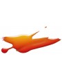 Evo 054 Gusti splash