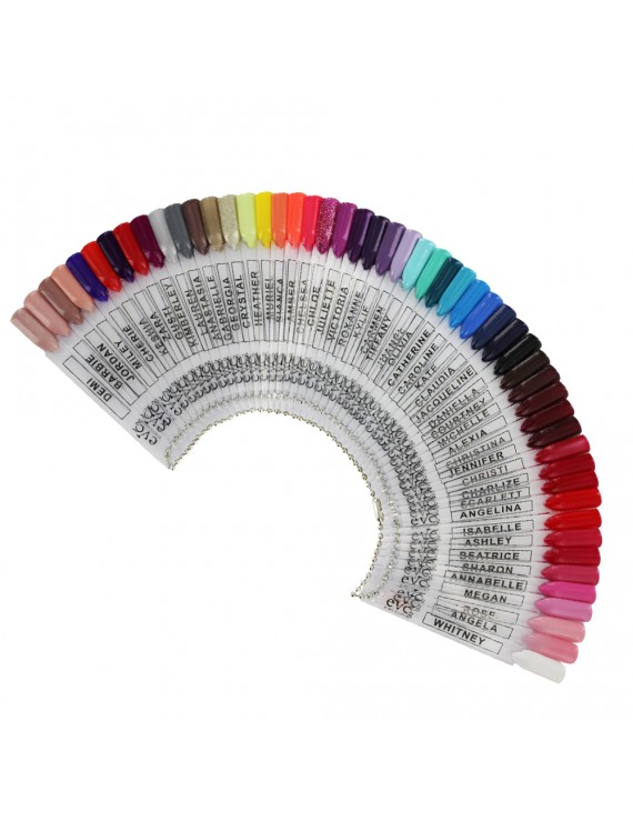 Evo Roue des couleurs
