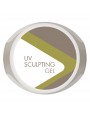 SCULPTING GEL