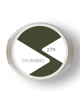 N°279 THORNBIRD