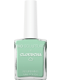 N°310 CLOUDCHA