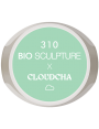 N°310 CLOUDCHA