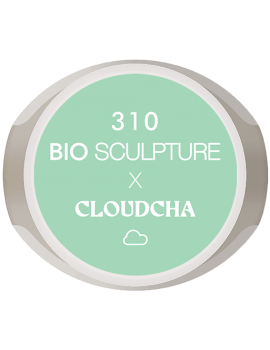 N°310 CLOUDCHA