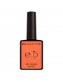 EVO SUN-KISSED SUMMER COLLECTION