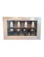 Pack de 4 vernis de couleur